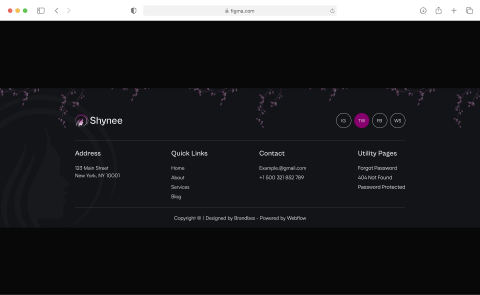 Landing Page Template Usability Image
