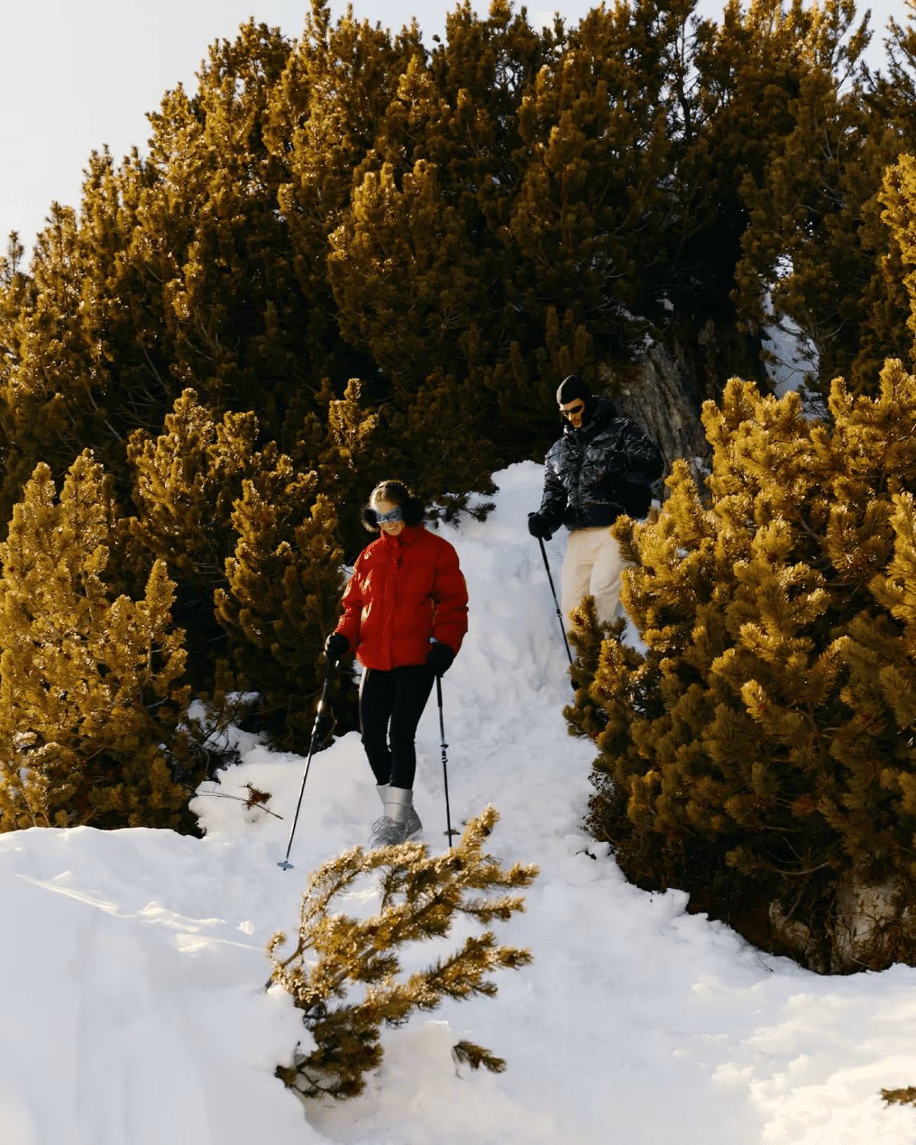 Image of two people skiing