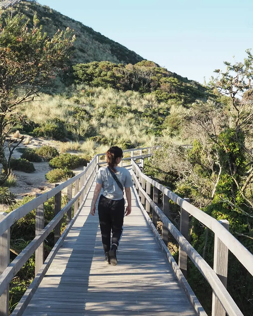 A person walks down a wooden boardwalk surrounded by lush greenery and hills under a clear blue sky, evoking a sense of tranquility and exploration.