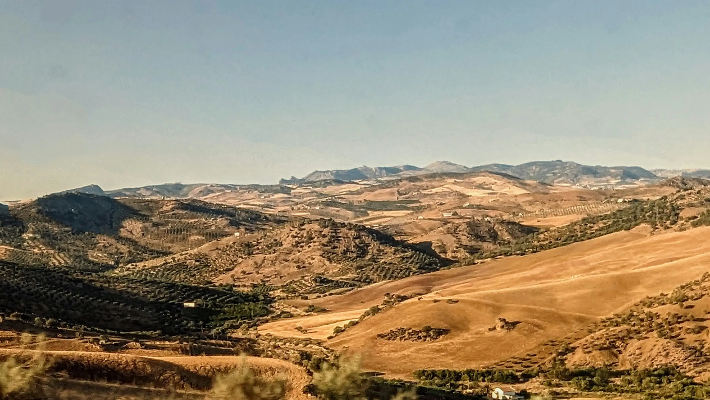 Expansive rolling hills and fields under a clear blue sky, with scattered trees and patches of greenery, evoke a serene and timeless landscape.