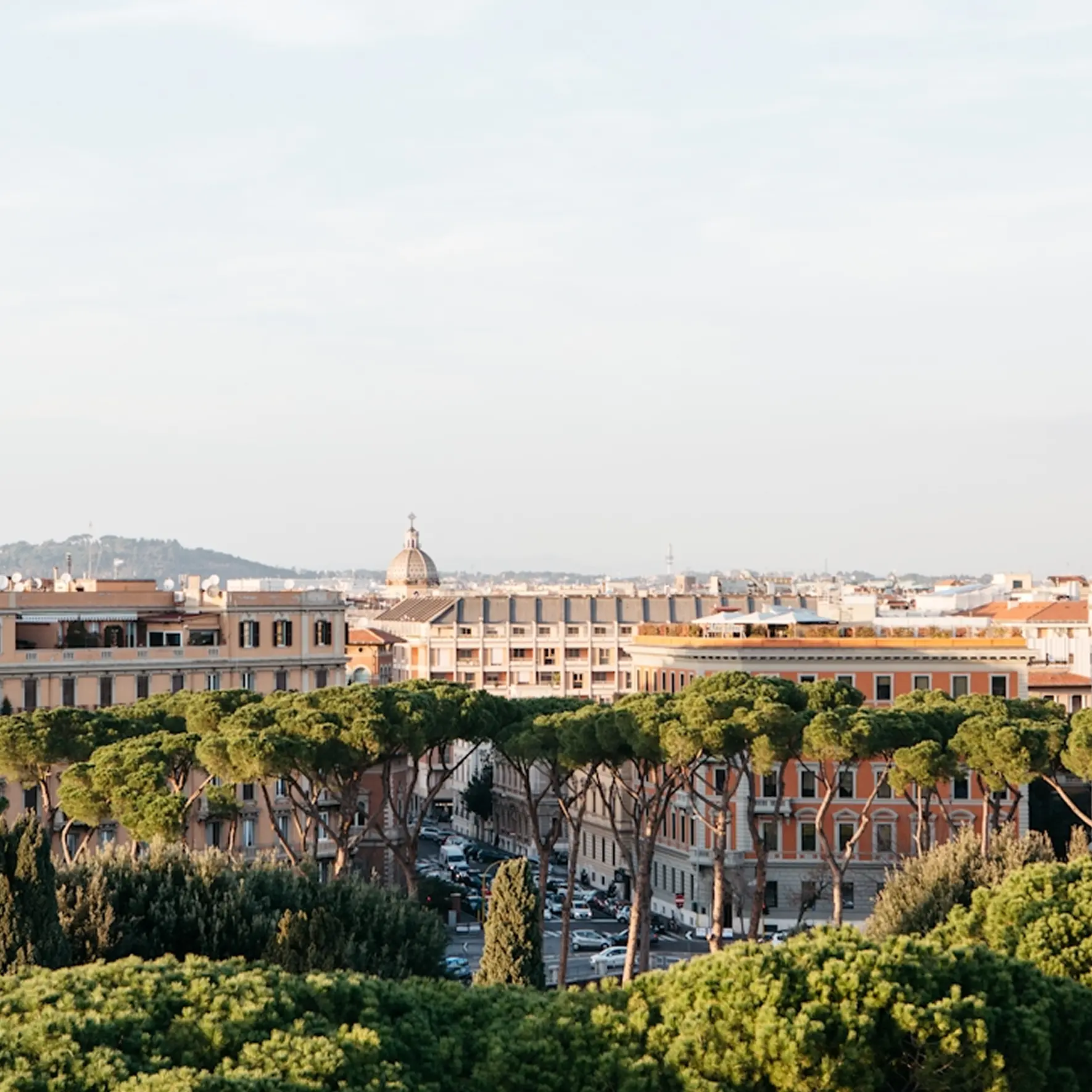 Panoramic view of Rome with a distant dome, historical buildings, and tall green trees in the foreground under a clear, soft blue sky.