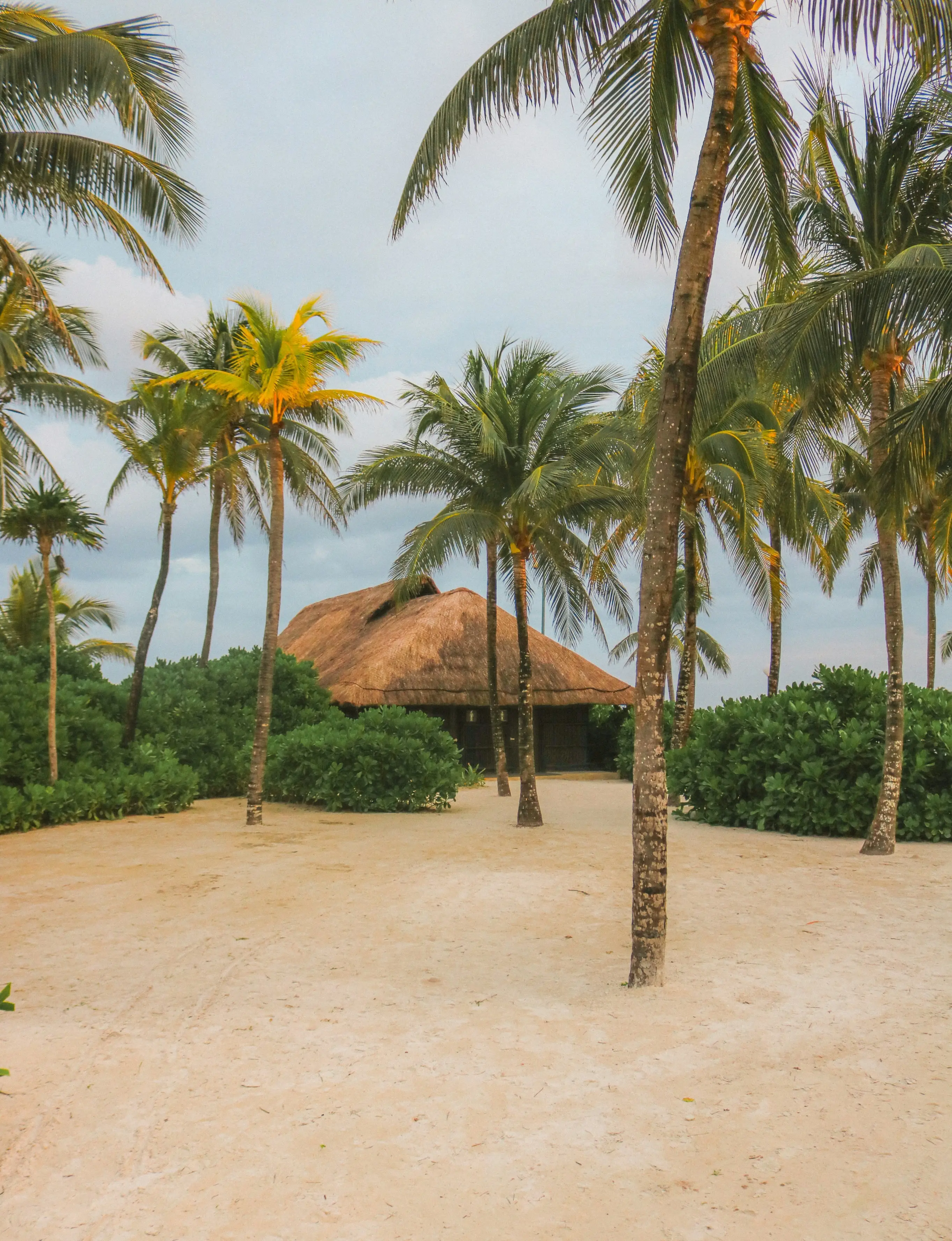 Sandy Cancún beach with scattered palm trees surrounds a rustic hut with a thatched roof. Lush greenery in the background under a soft, cloudy sky. Peaceful vibe.