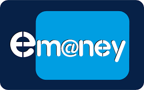 Em@ney plc