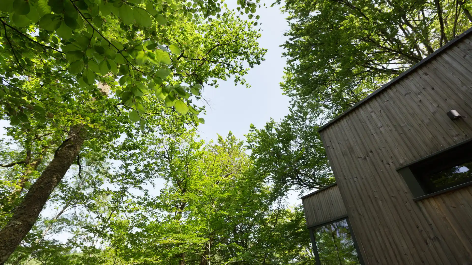 Cabane Châtaigner | Cabanes de Salagnac