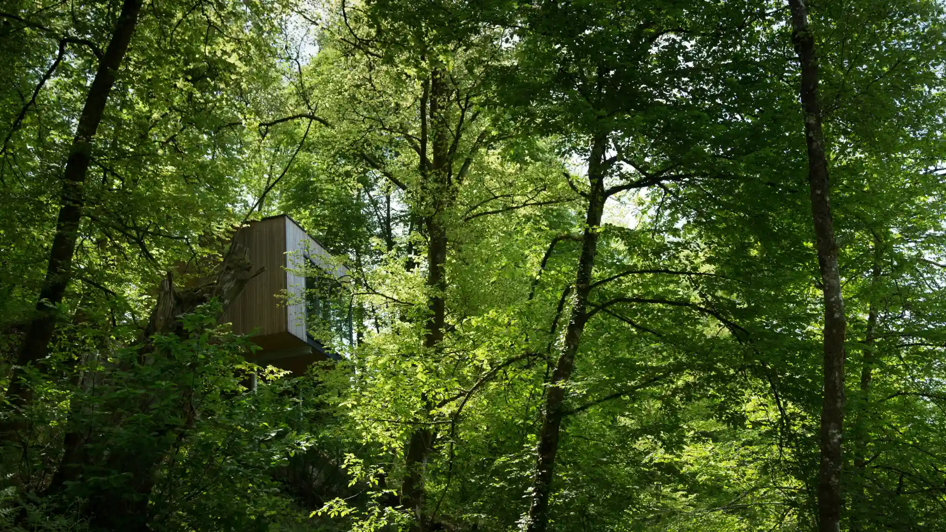 Cabane Chêne | Cabanes de Salagnac