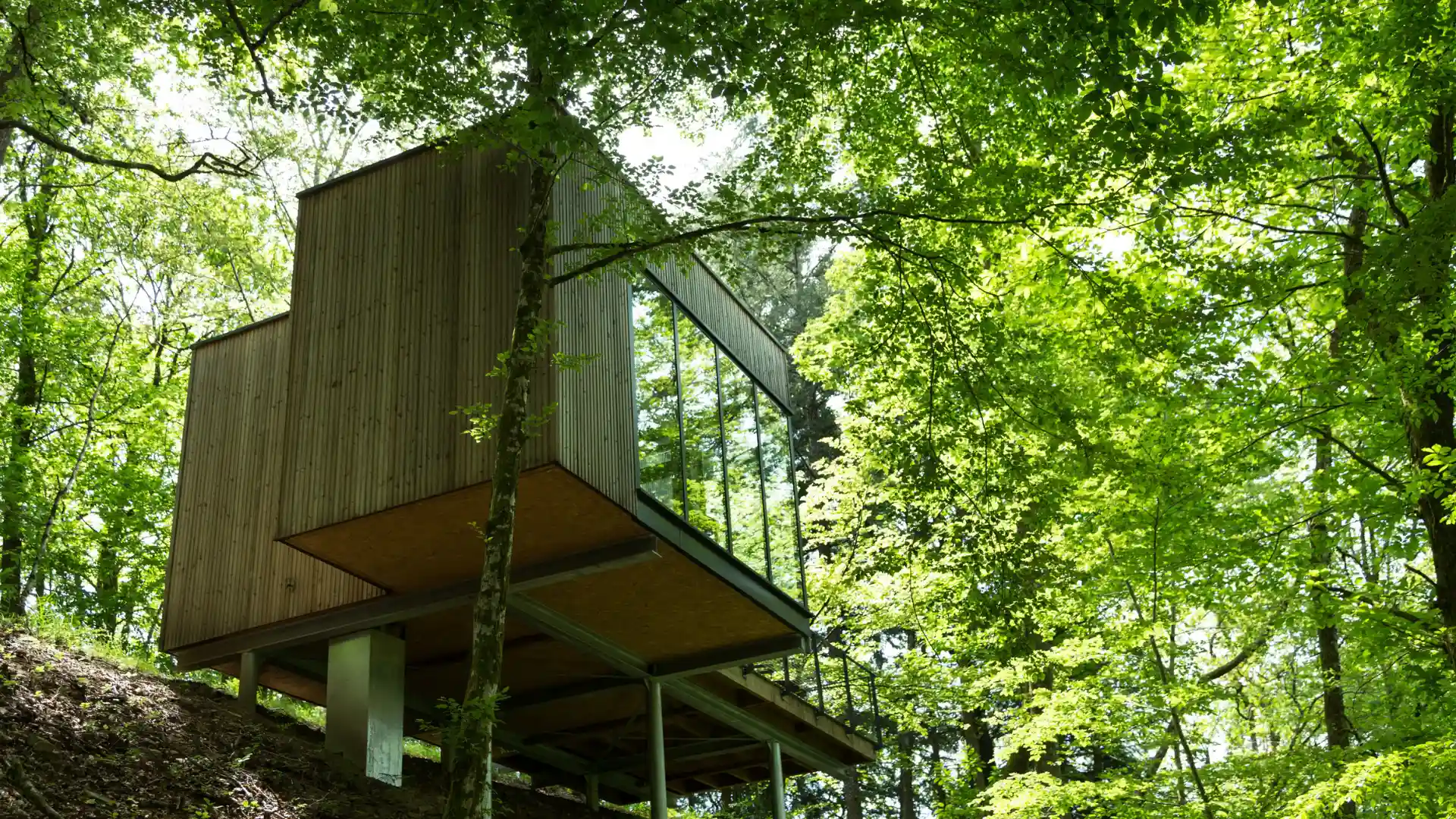 Cabane Cèdre | Cabanes de Salagnac