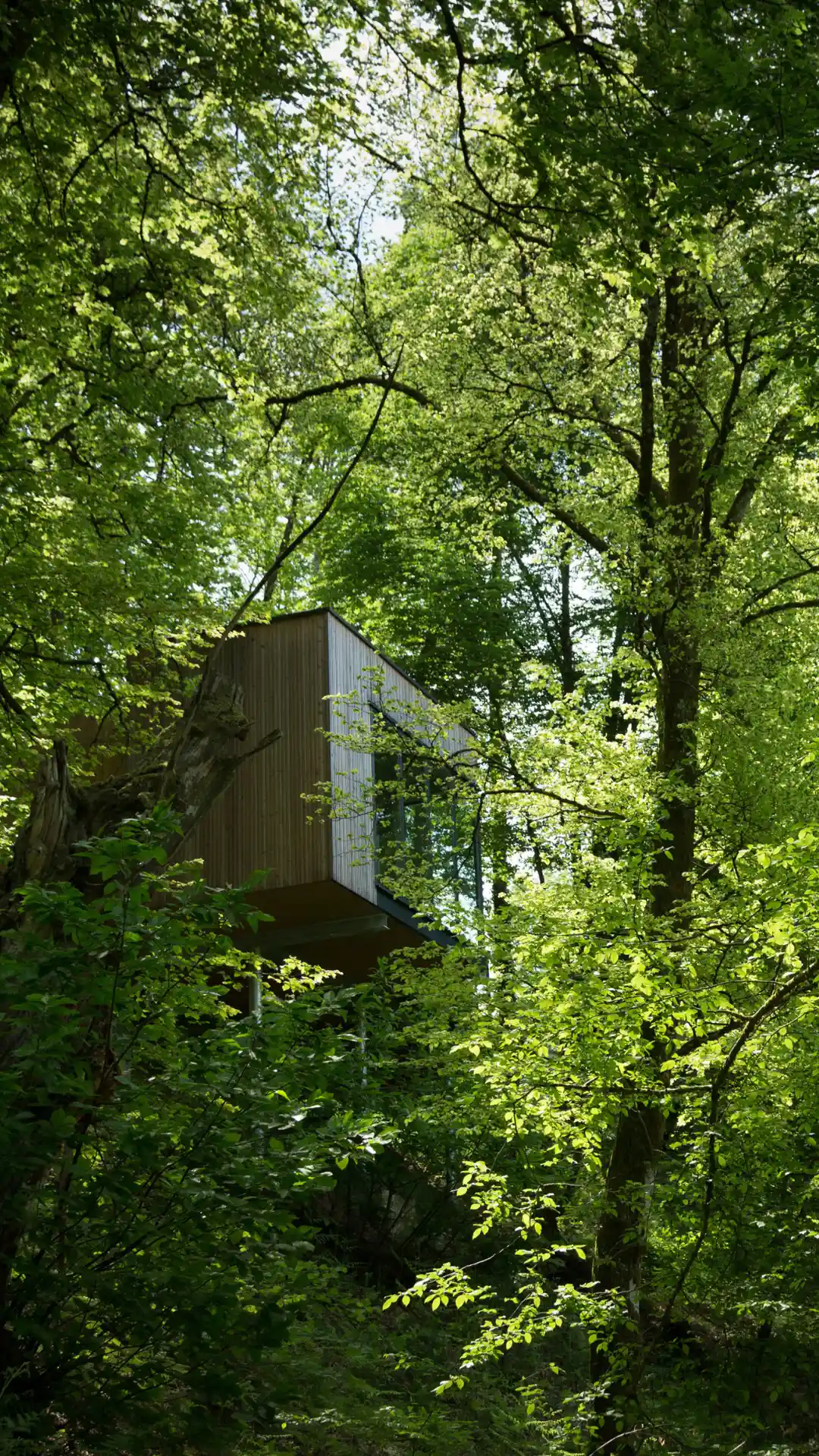 Cabane Chêne | Cabanes de Salagnac