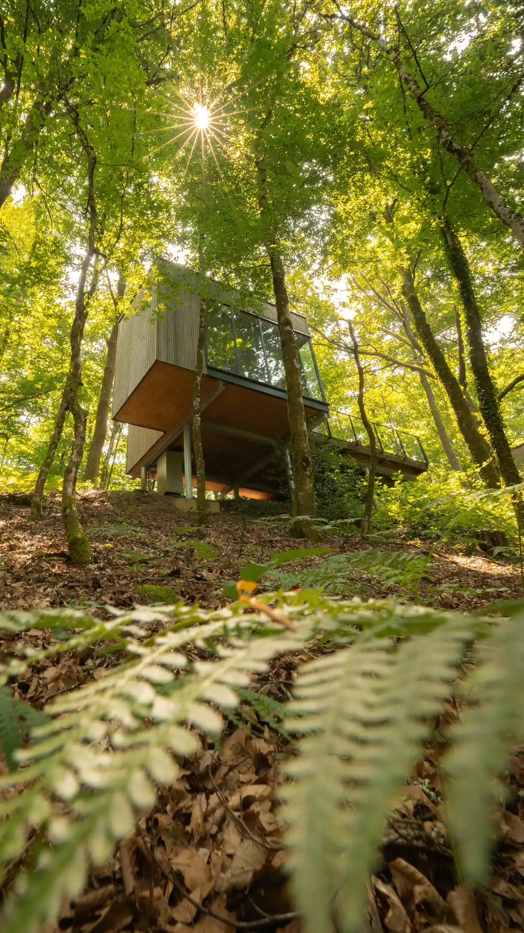Cabane Châtaigner | Cabanes de Salagnac