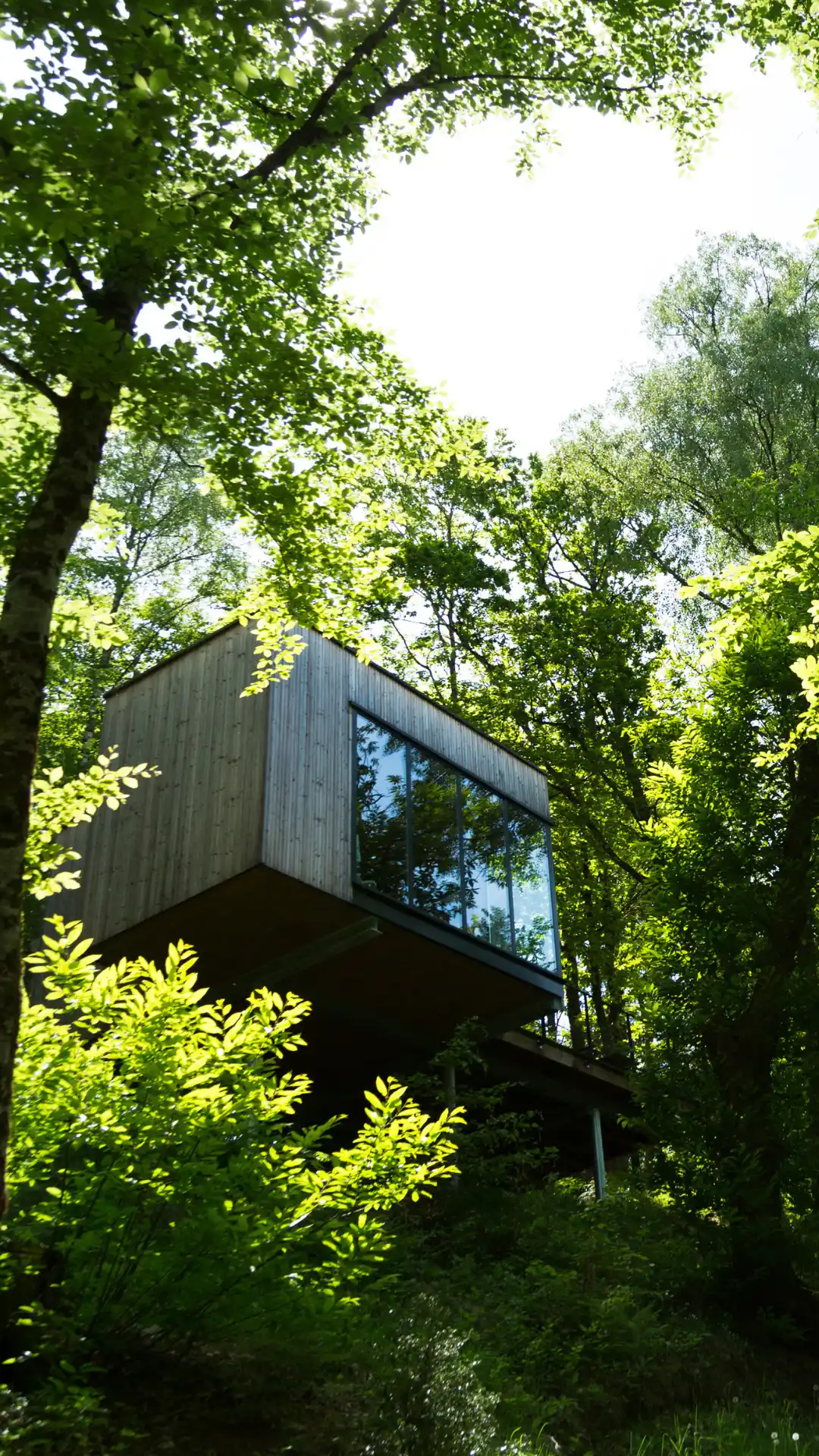 Cabane Cèdre | Cabanes de Salagnac