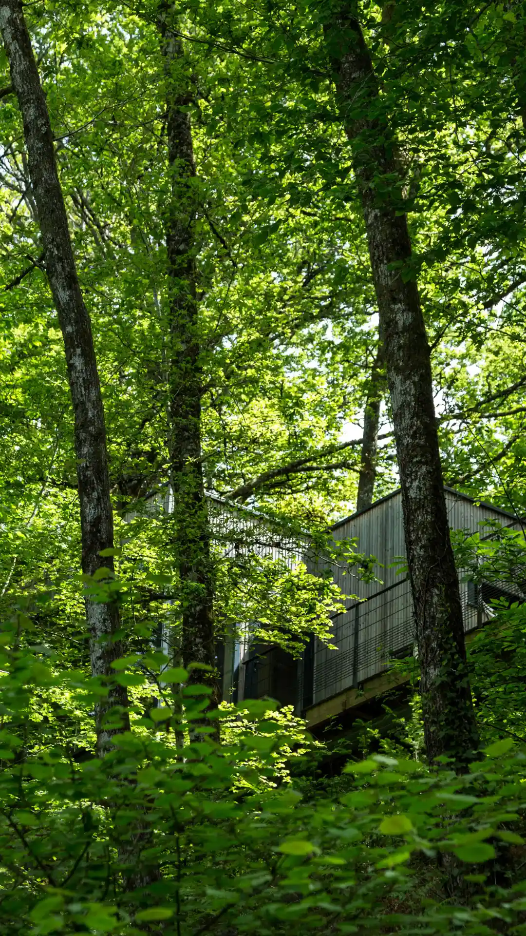 Cabane Cèdre | Cabanes de Salagnac