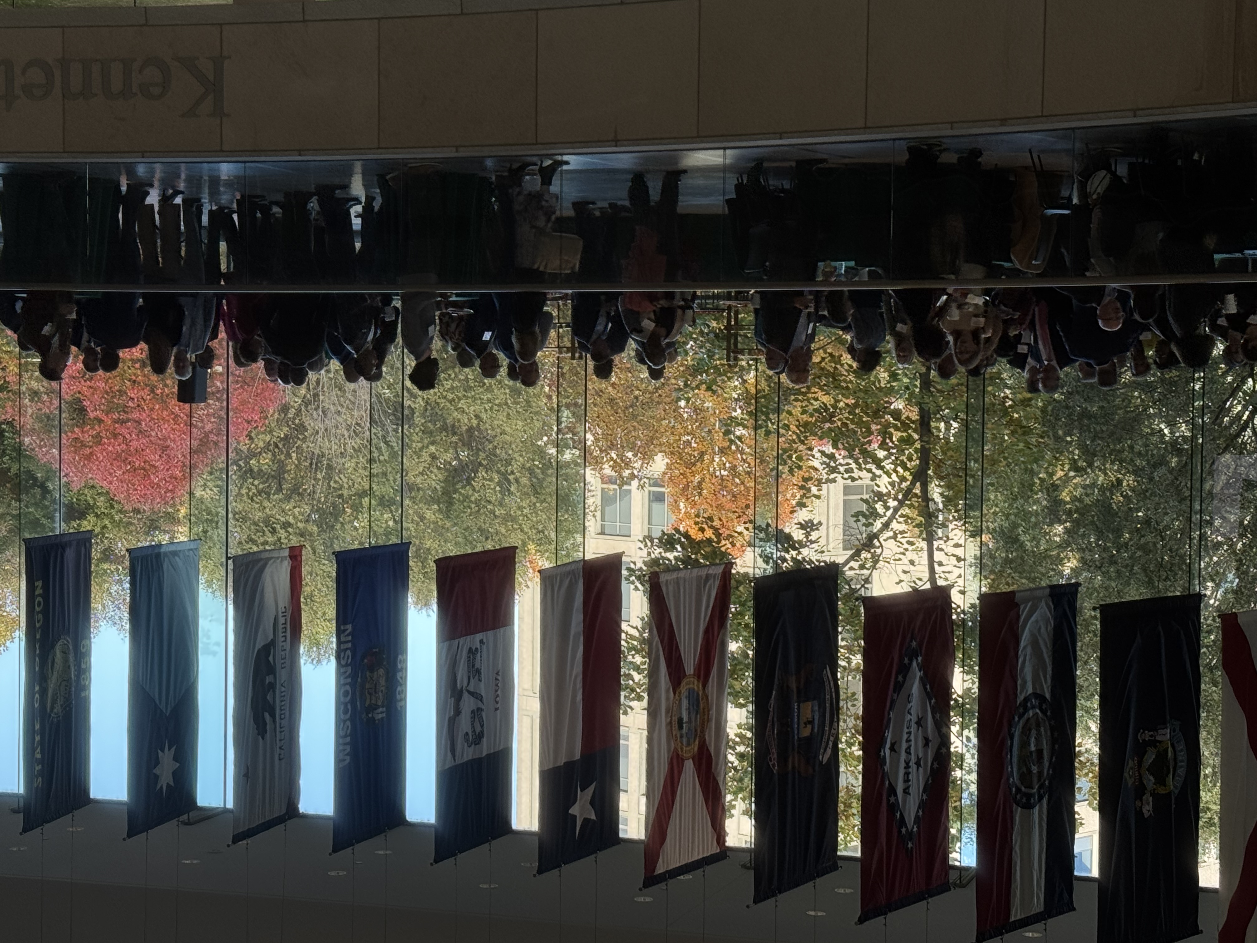 Partnering with Purpose: Our Journey with the Satell Institute 