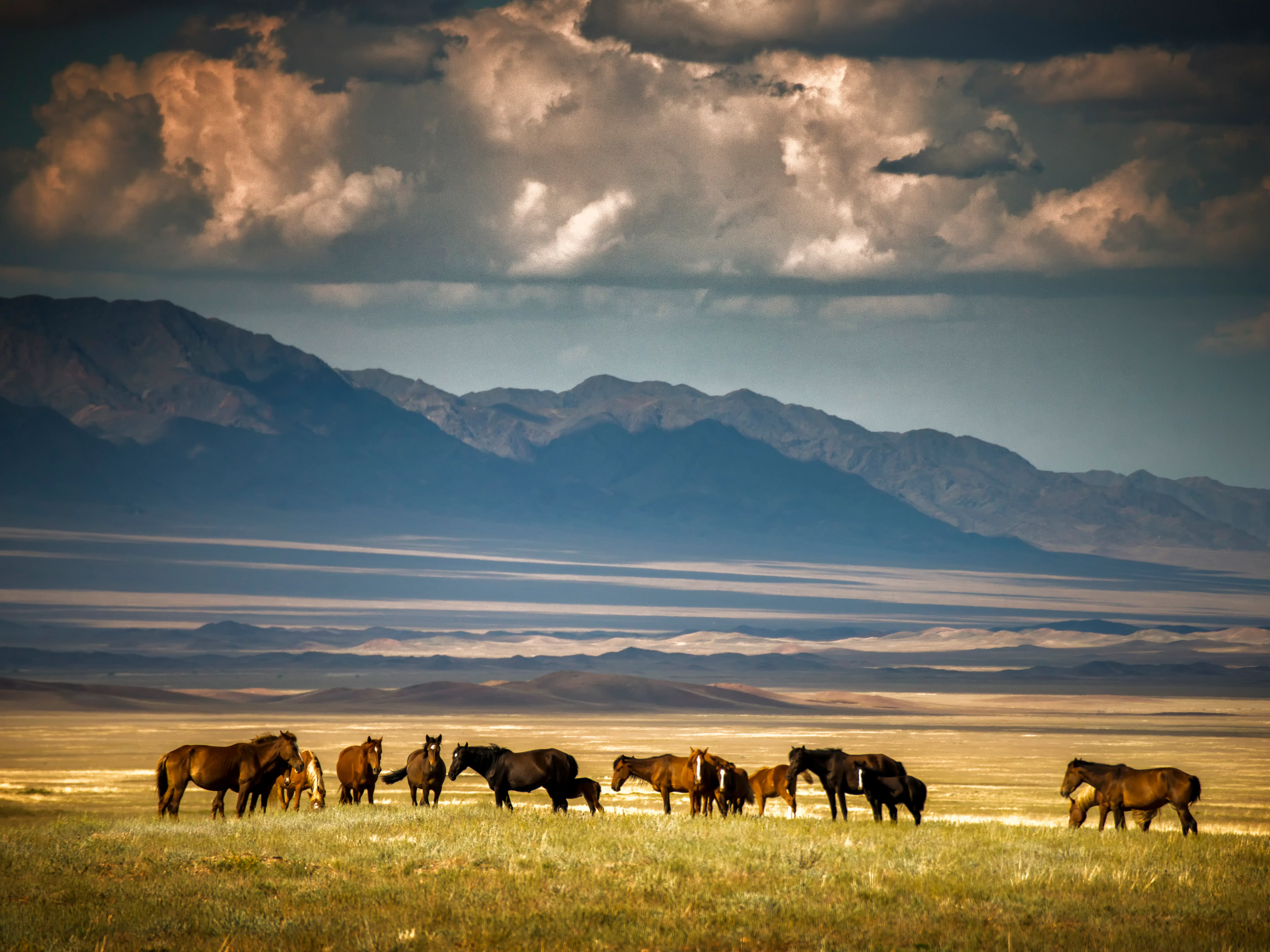 Slow Border Travel: Multi-Country Itineraries You Can Do Without Flights in 2026