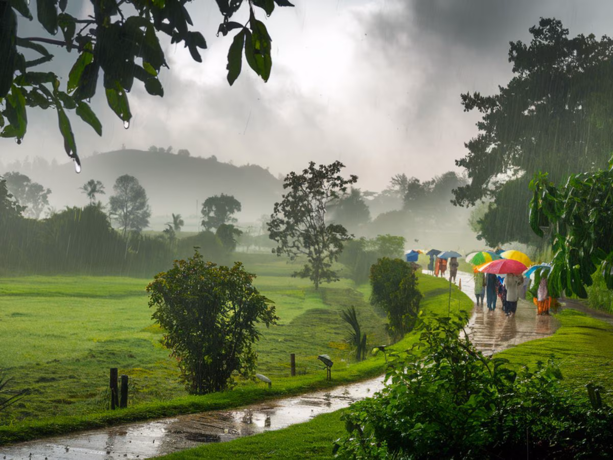 Monsoon Luxury Escapes in India: Where to Travel Between June and August