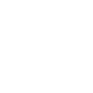 Security Icon