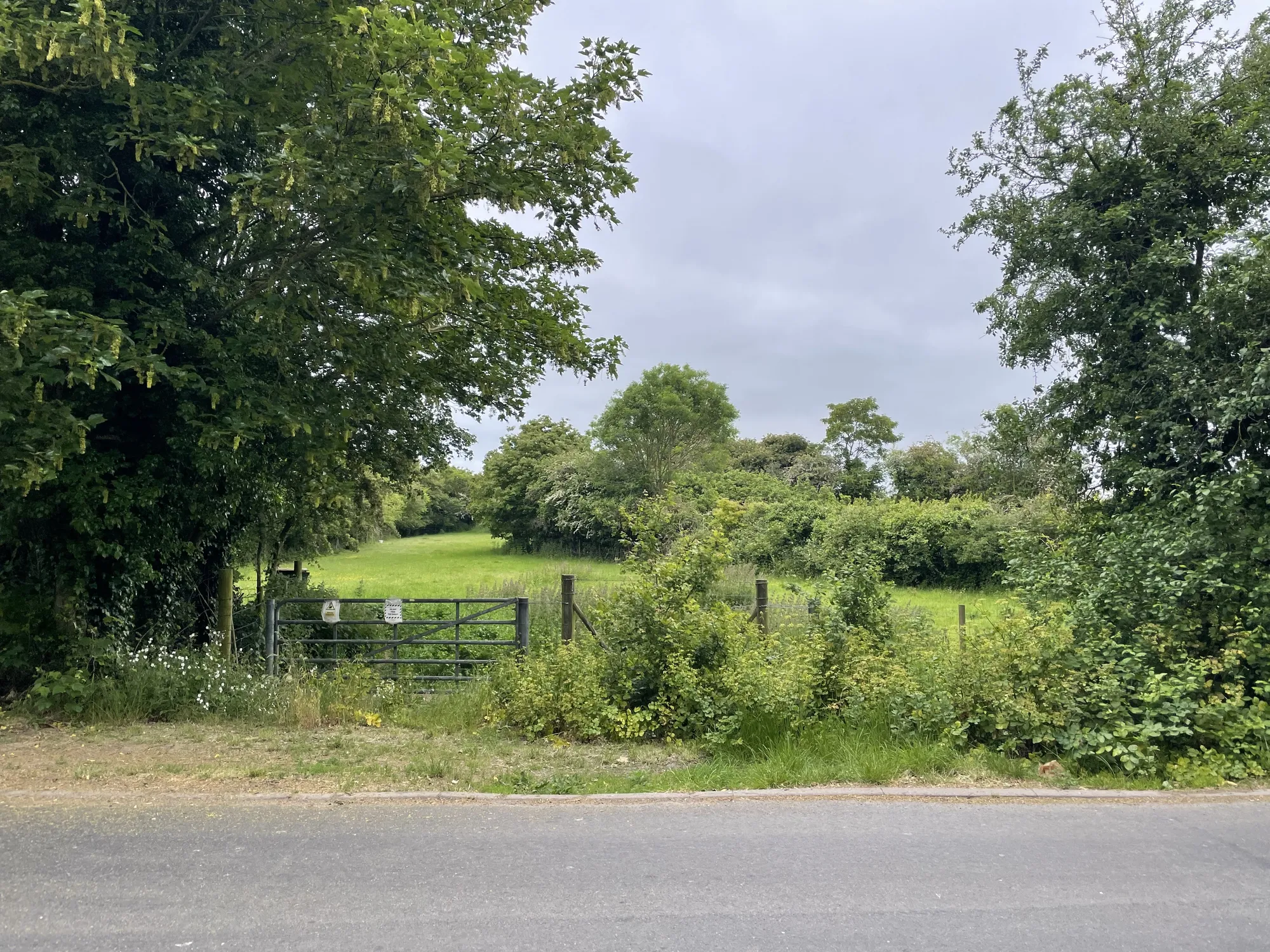 How To Choose A Rural Plot: What To Check Before Buying Land