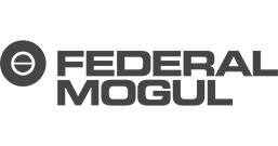 Federal Mogul Logo