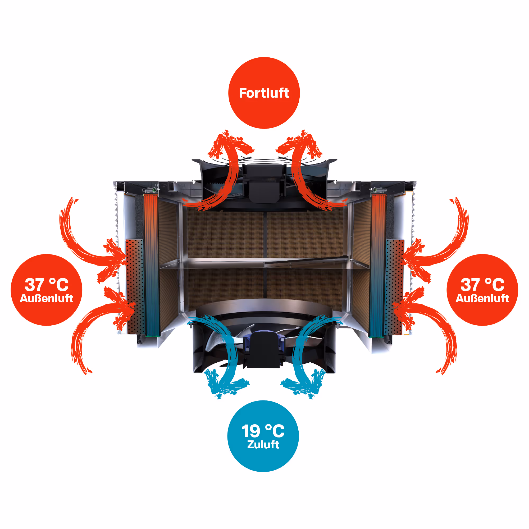 Eine Glühbirne steht auf einem Erdboden.