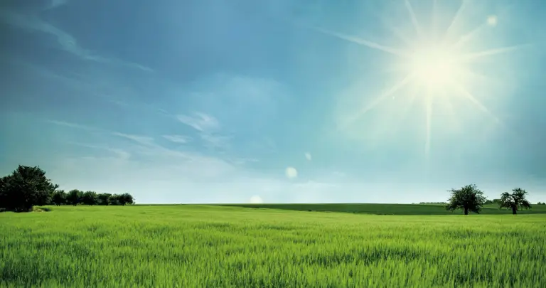 Infranorm Header