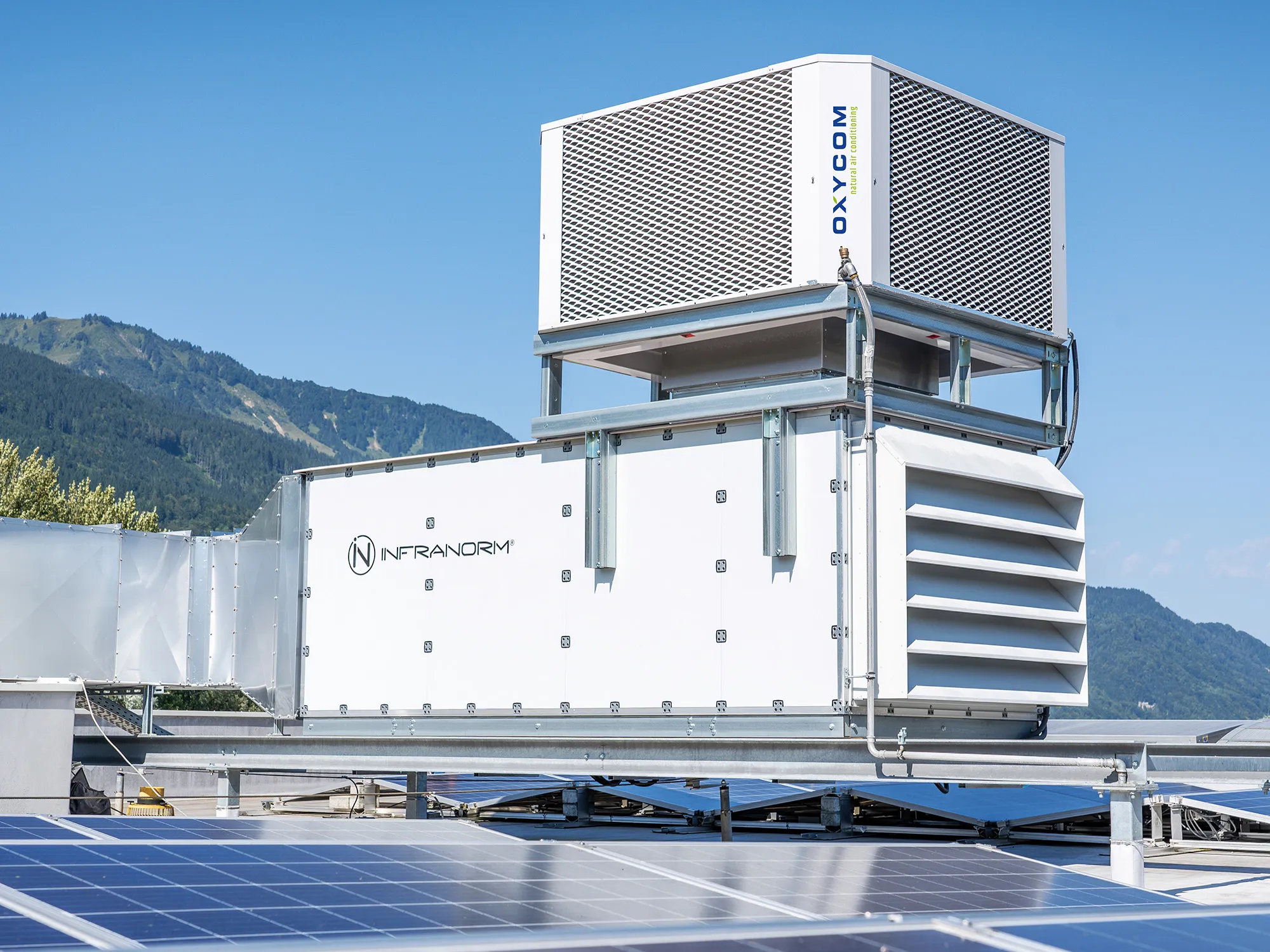 Eine Glühbirne steht auf einem Erdboden.