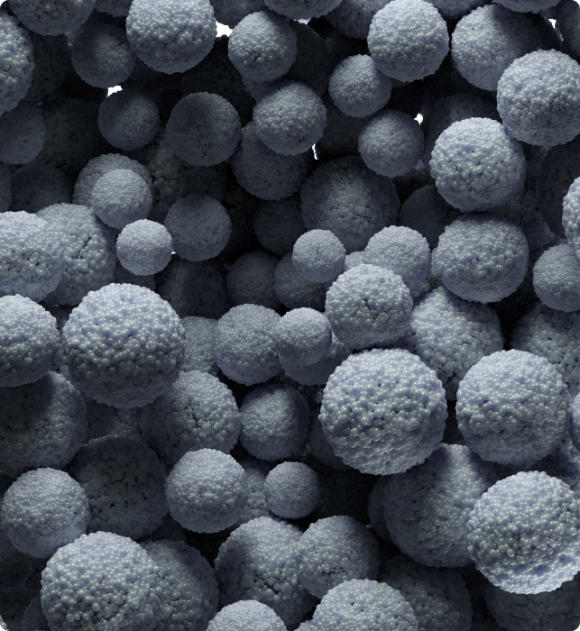 Neuphoria Therapeutics