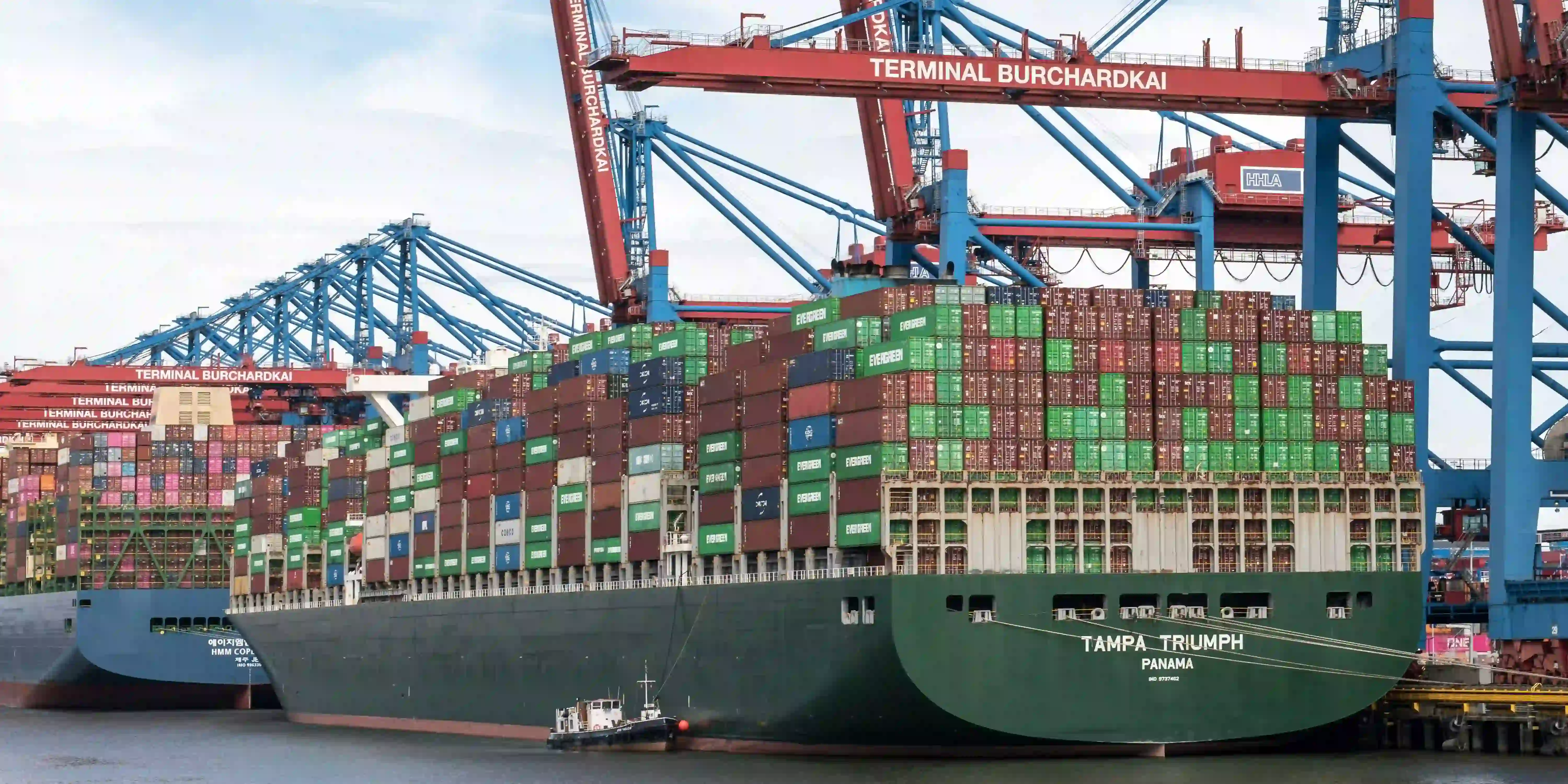 Importación directa de productos desde fábricas verificadas en China