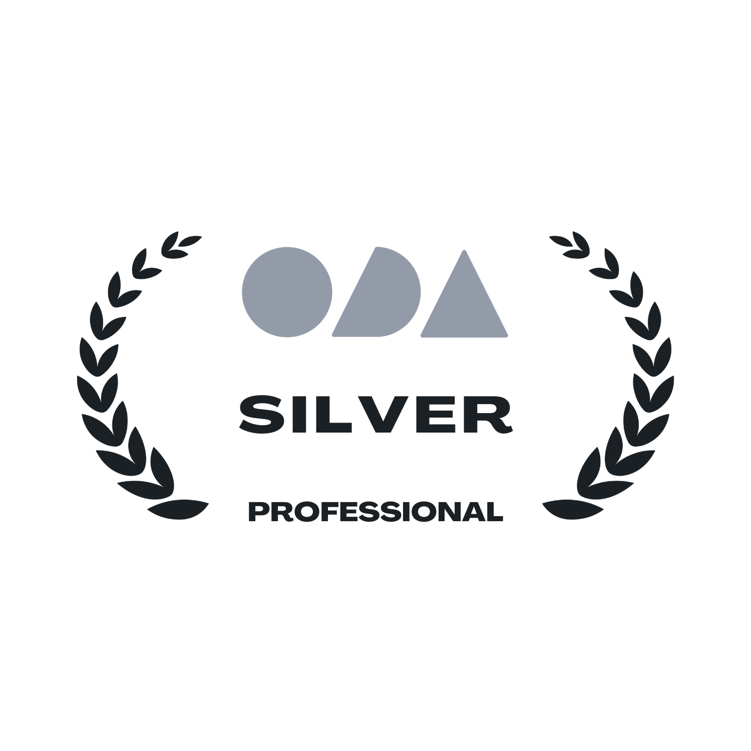 Never Settle wins 'Agency Silver' in the T1 - Website Design category