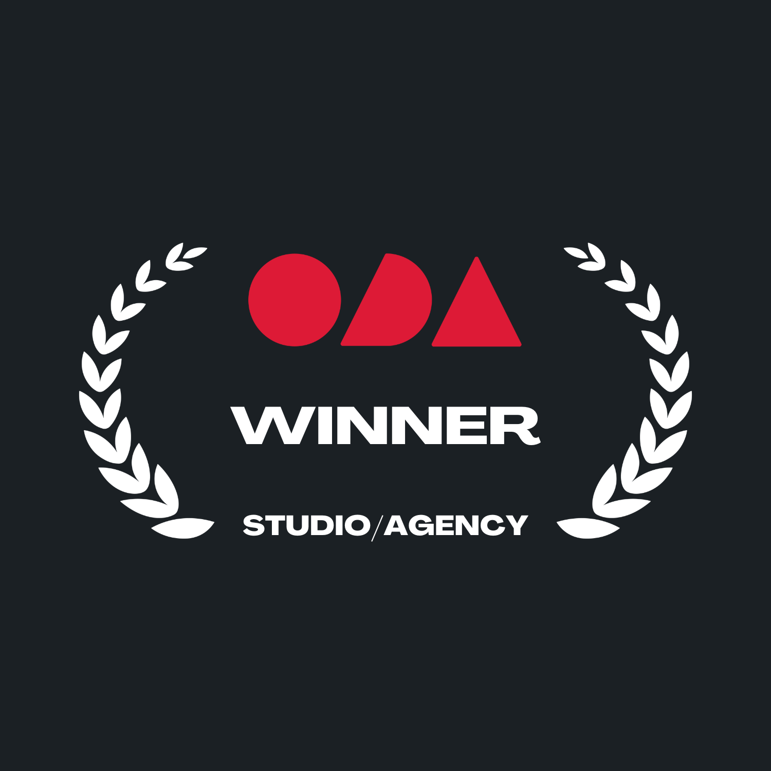 Never Settle wins the '2024 Brand Messaging Award' for the 'Studios & Agencies' category