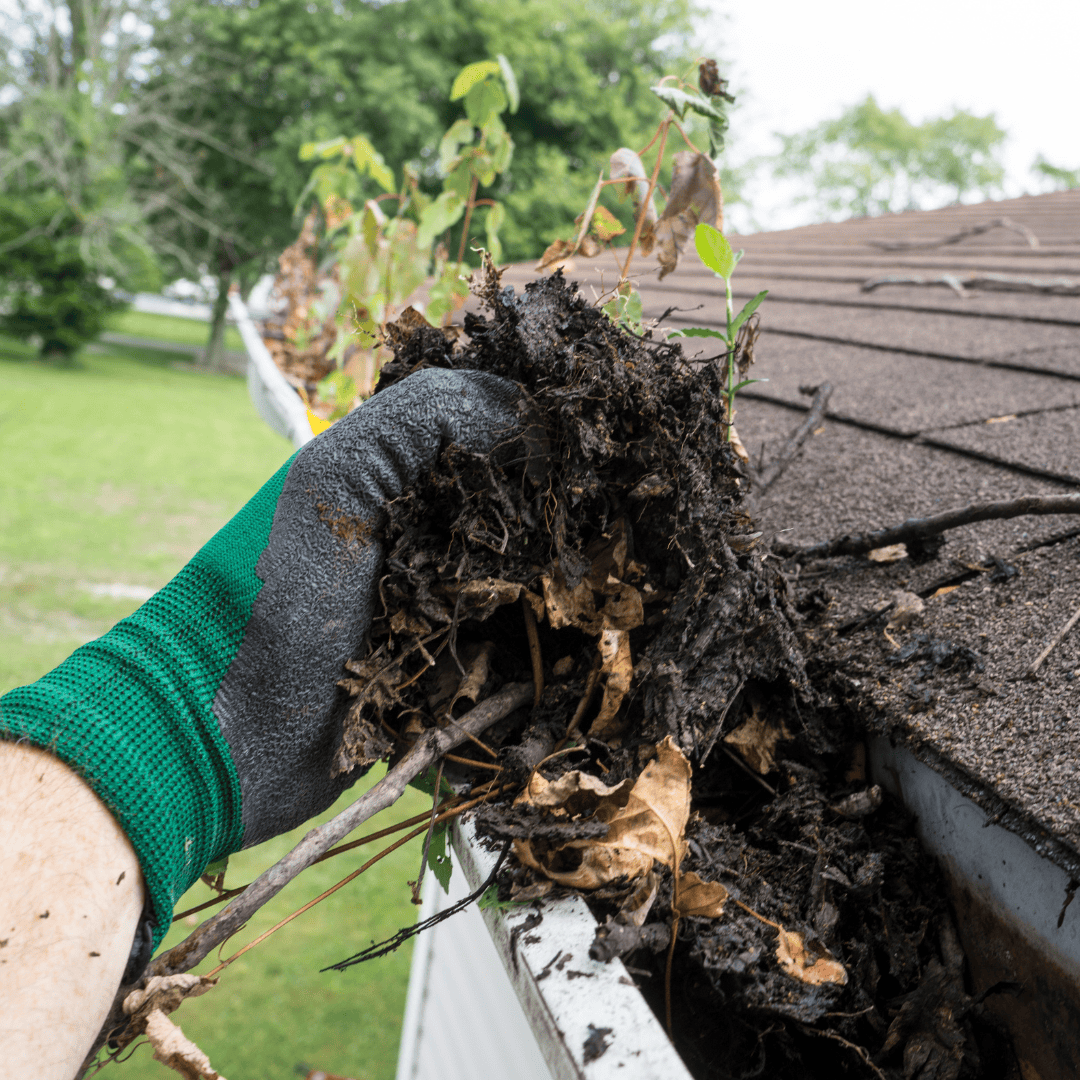 person cleaning gutters on sc home