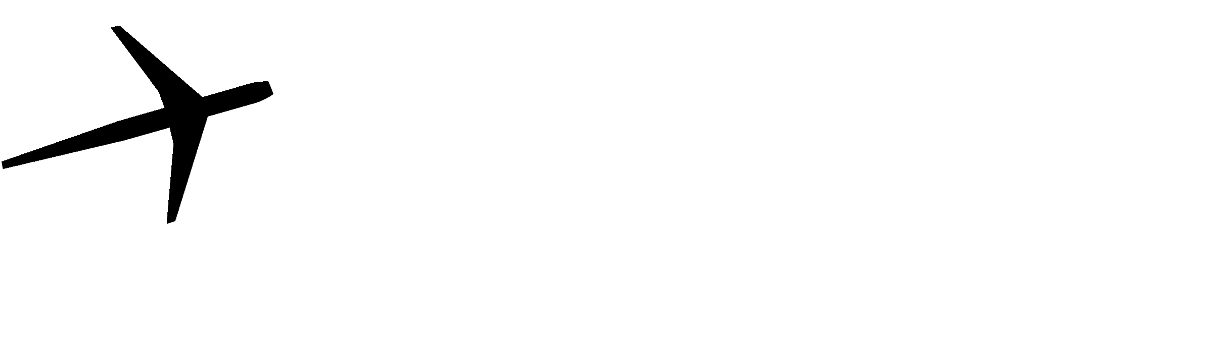 2020INC logo