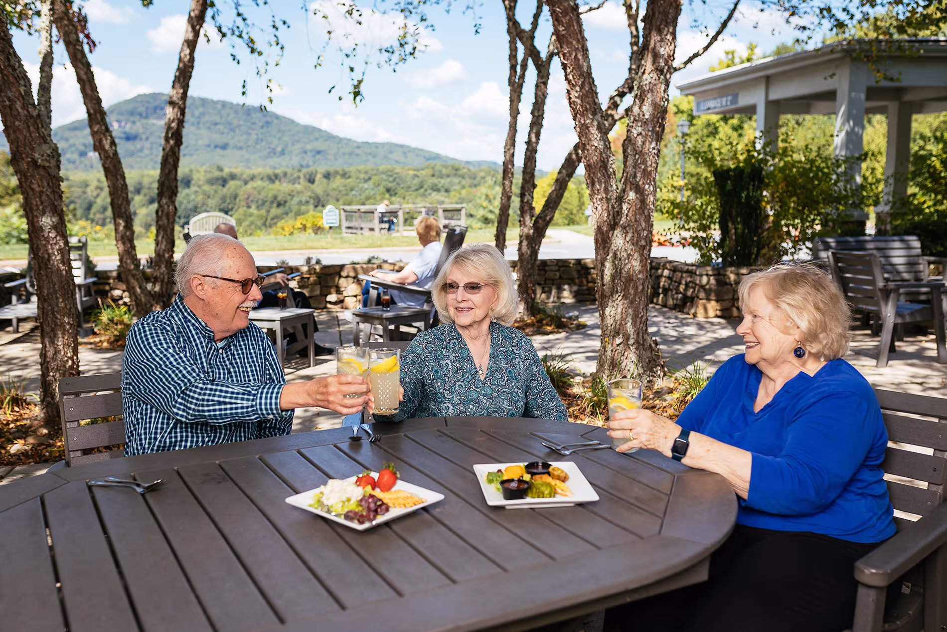 Three smiling older adults clinking glasses while sitting at an outdoor table with food plates.