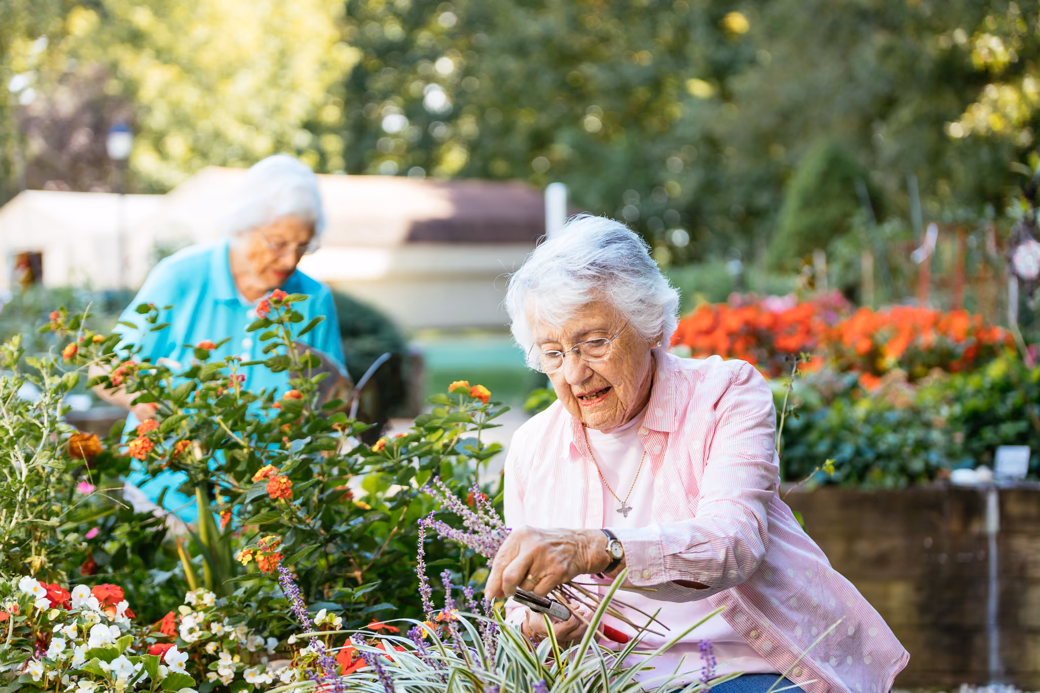 Two elderly women are gardening, surrounded by colorful flowers, on a sunny day.