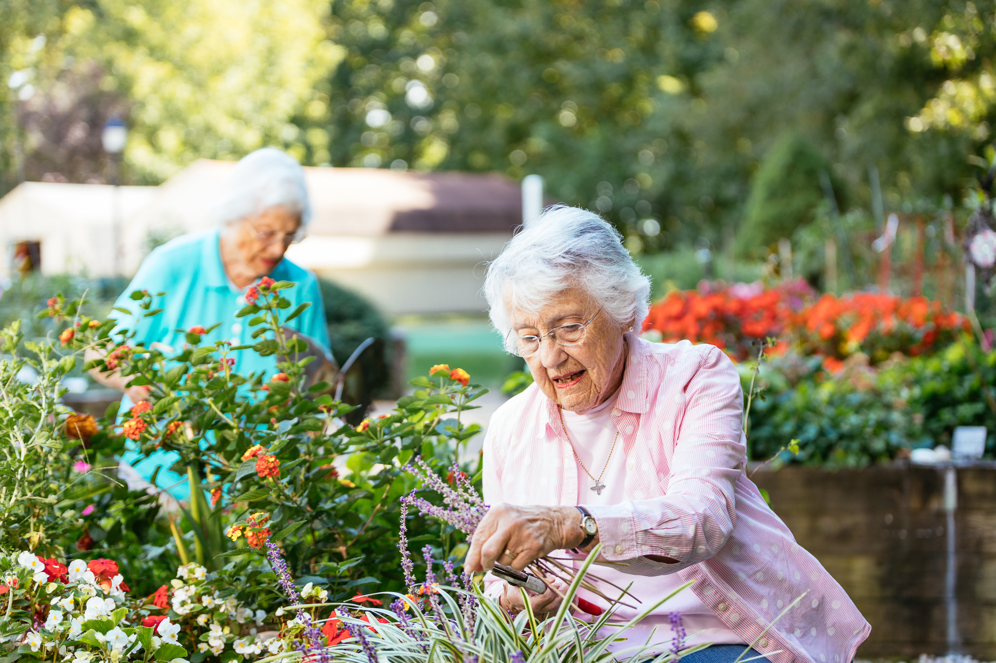 Two elderly women are gardening, surrounded by colorful flowers, on a sunny day.