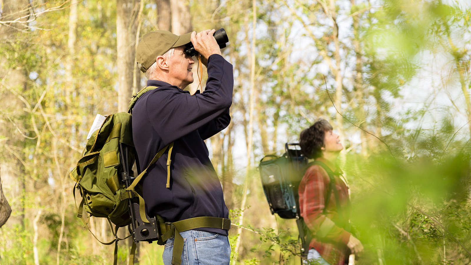 Birdwatching in Winston-Salem