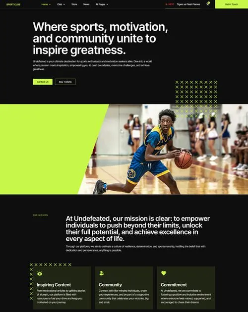 website screenshot