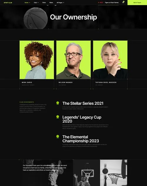 website screenshot