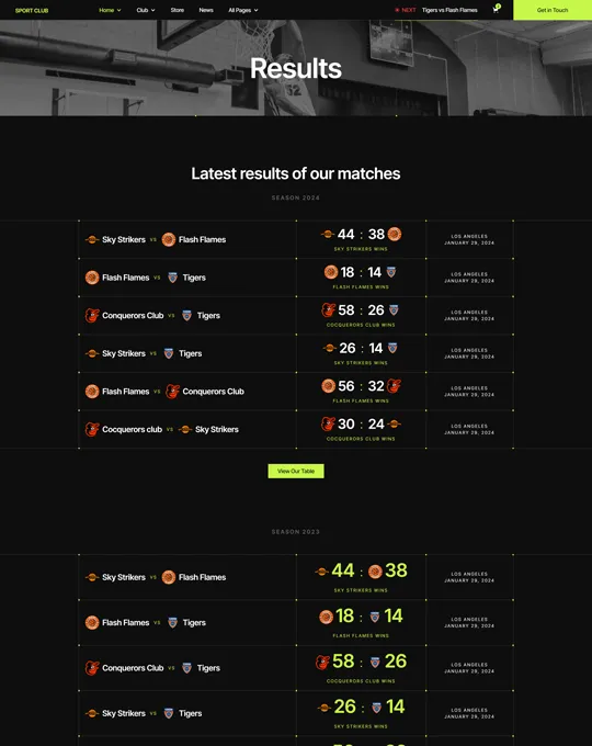 website screenshot