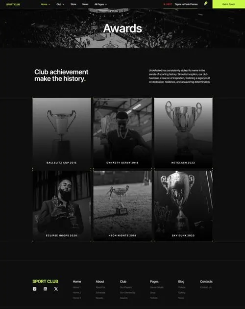 website screenshot