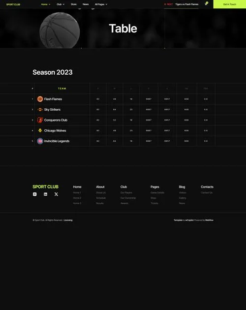 website screenshot