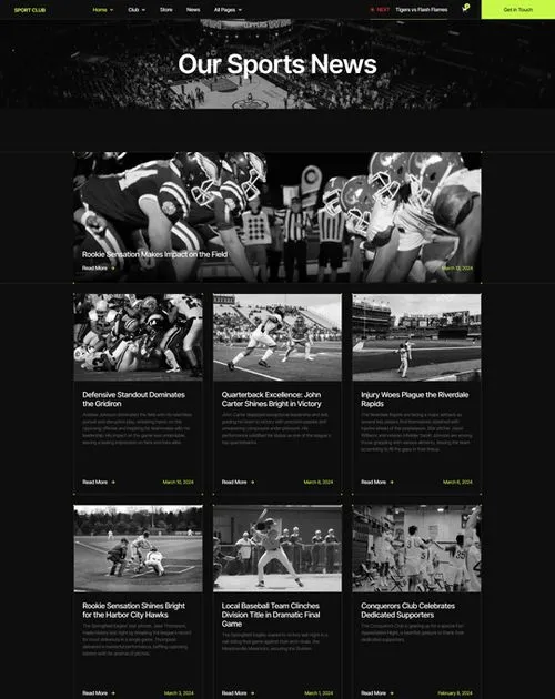 website screenshot