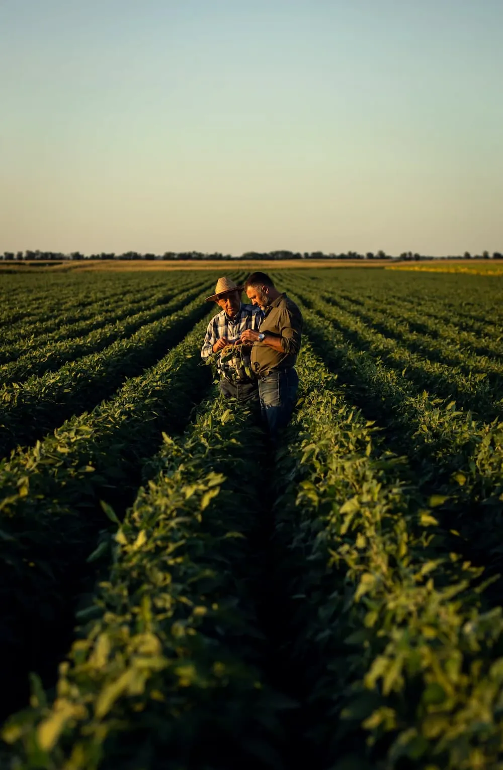 two men working together in the field