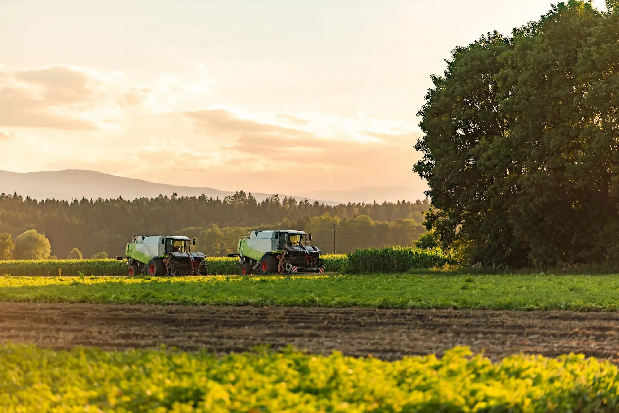 large combine harvesters standing in oat field