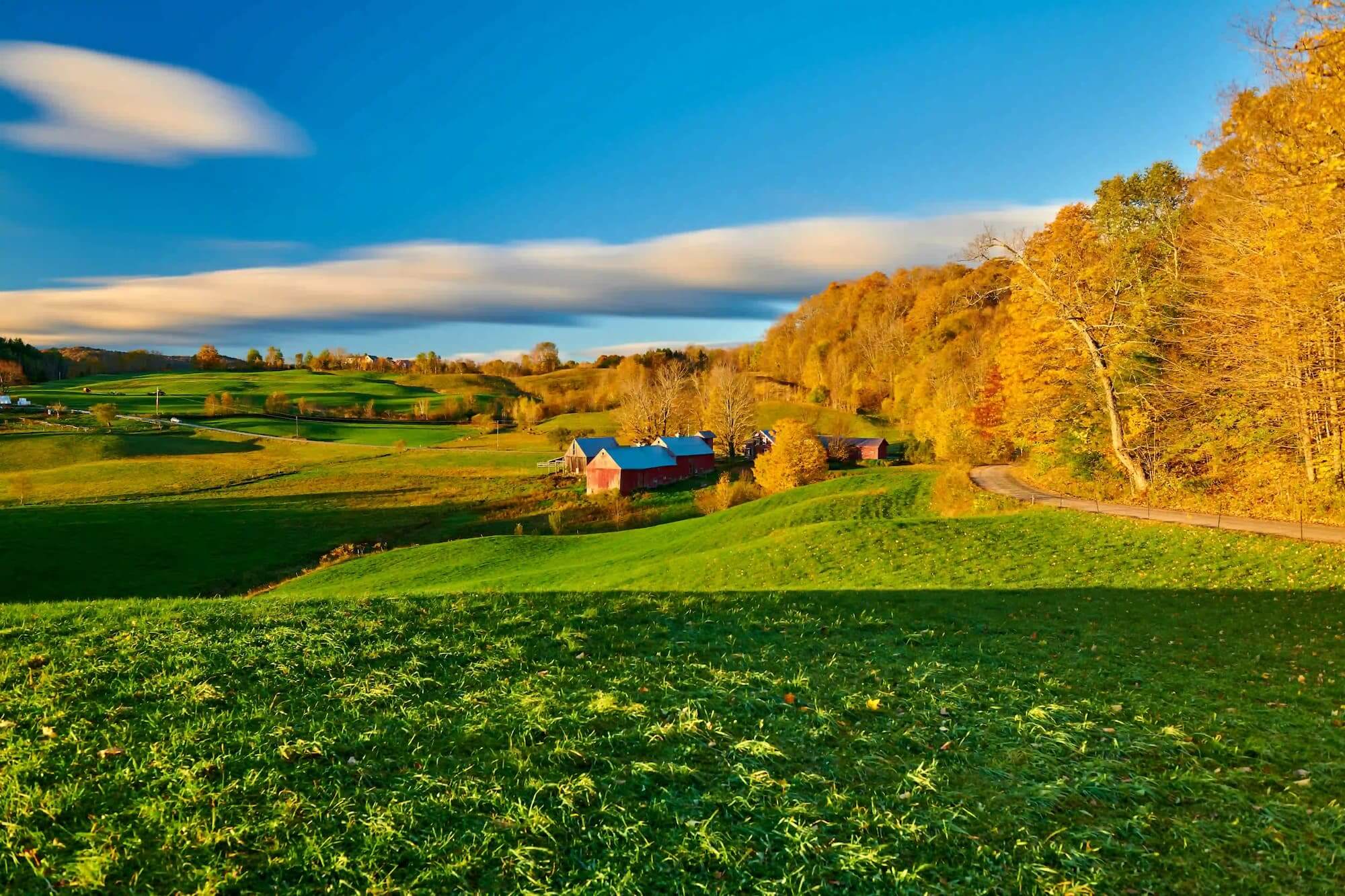 farm with barn at sunny autumn morning