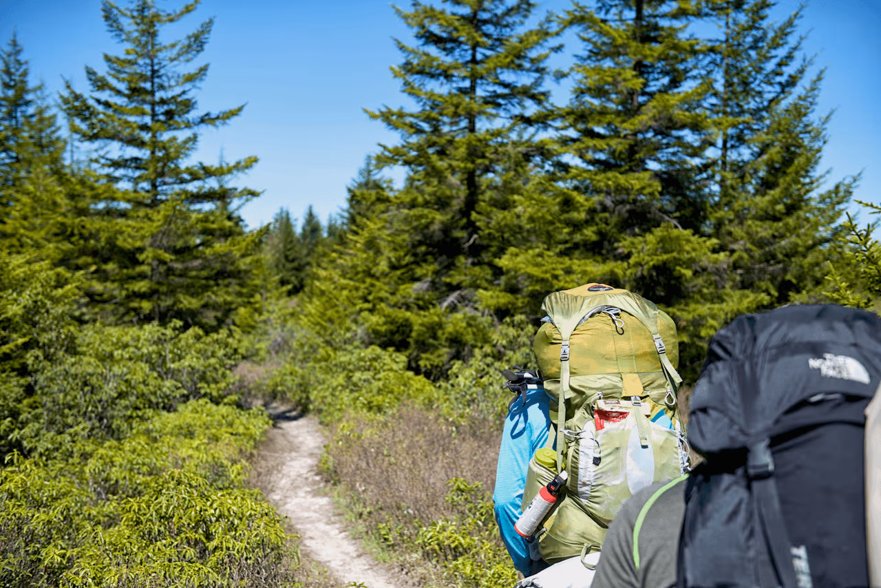 Backpackers hiking along a mountain trail in West Virginia