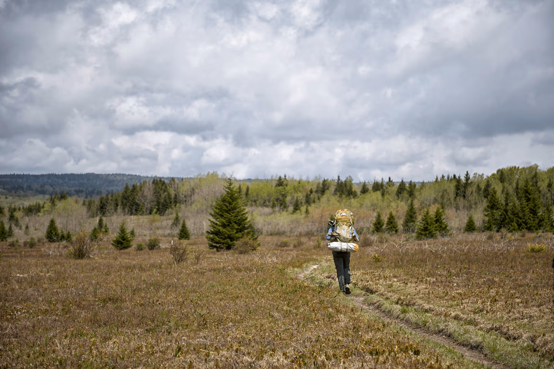 Kyle Pett backpacking Dolly Sods Wilderness in West Virginia