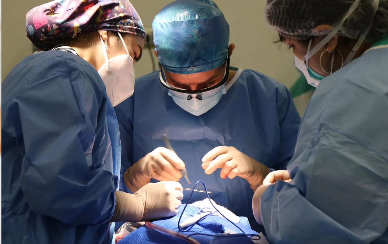 Group of dental professionals in surgical attire performing complex oral surgery on a patient, using suction, scalpel, and retractors in a fully-equipped operating room