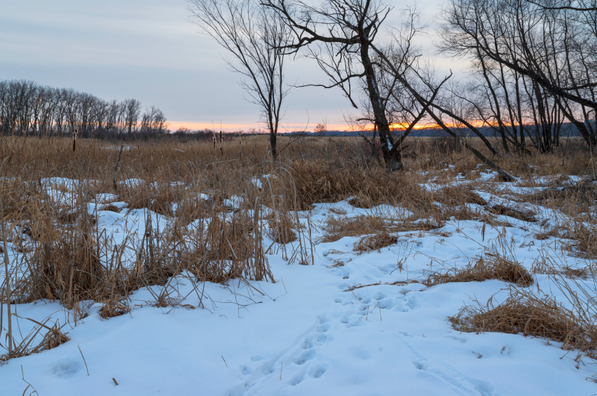 Property Management in Eagan