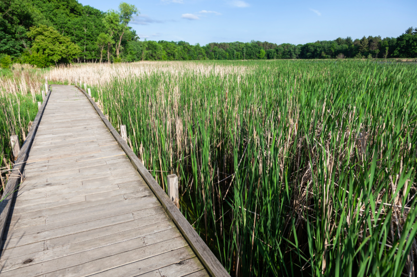 Property Management in Woodbury 