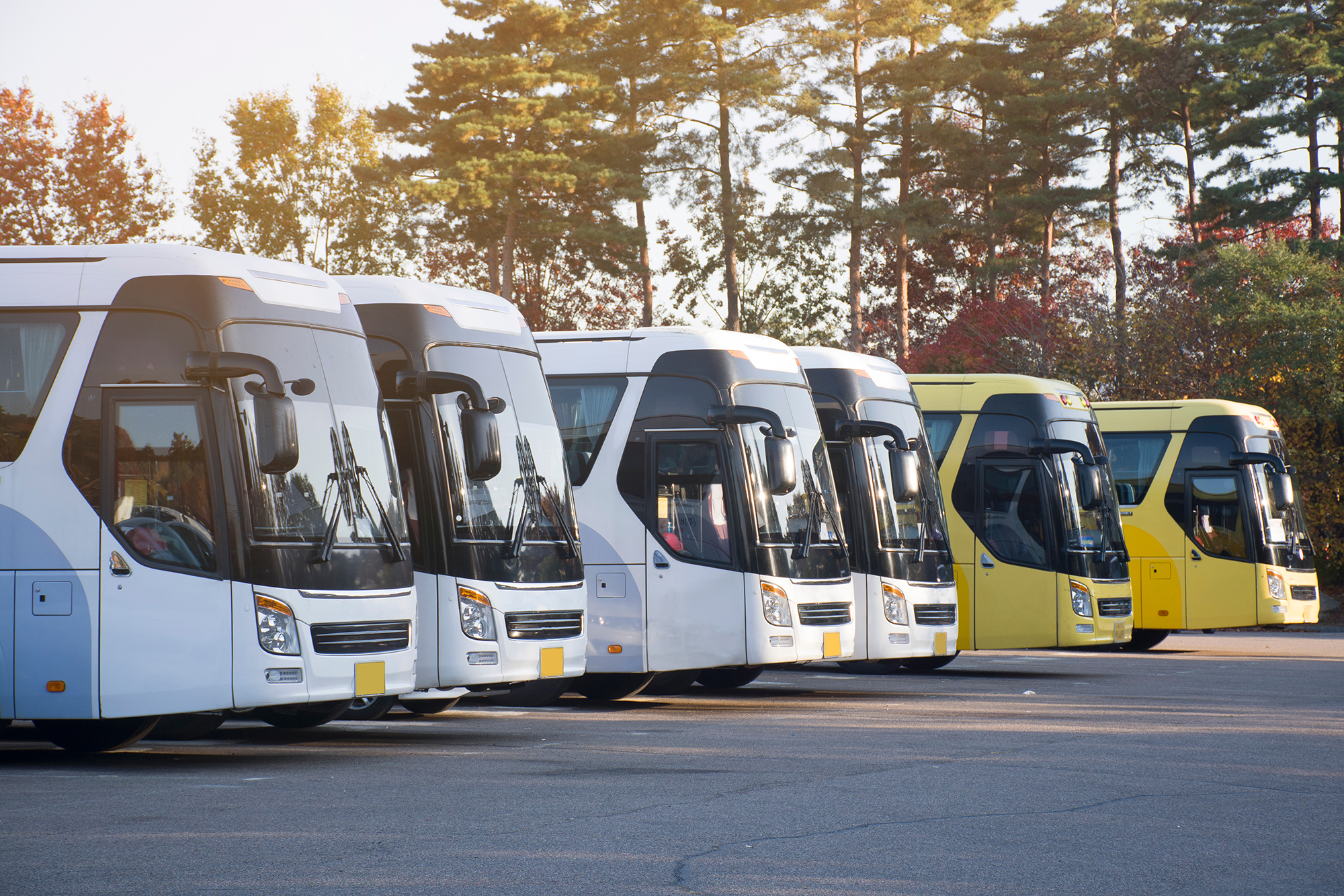 Organiser un séminaire d’entreprise : comment réserver rapidement un autocar pour votre équipe