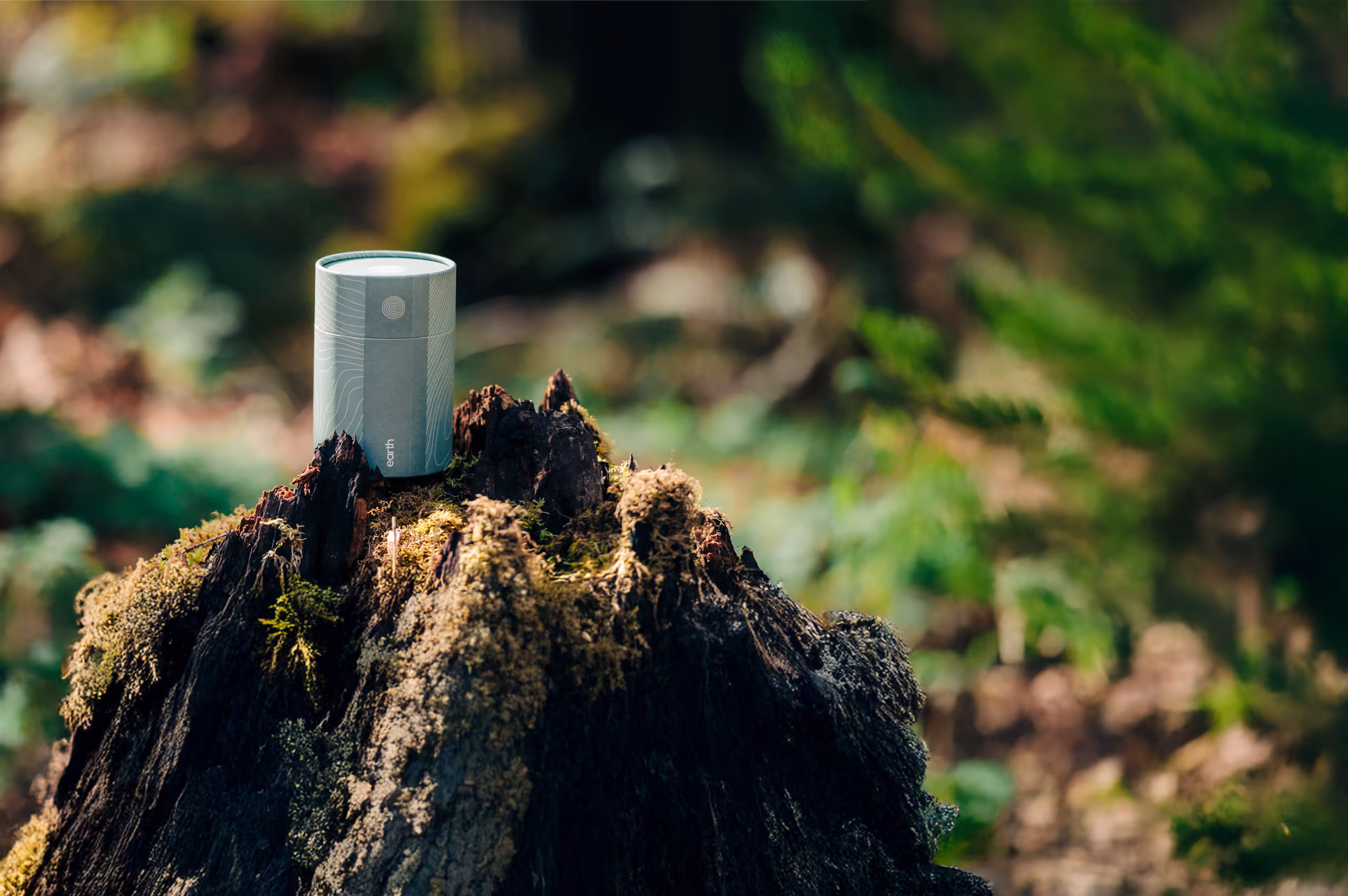 An Earth soil container perched on top of a tree trunk