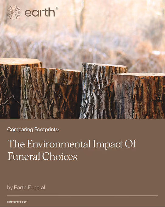 Tree stumps in a forest with text about the environmental impact of funeral choices by Earth Funeral.